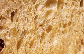 Panettone 2025 - Tanti agrumi